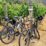 1 half day self guided ride and wine bike tour from arrowtown Half-Day Self-Guided Ride and Wine Bike Tour From Arrowtown