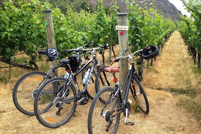 1 half day self guided ride and wine bike tour from arrowtown Half-Day Self-Guided Ride and Wine Bike Tour From Arrowtown