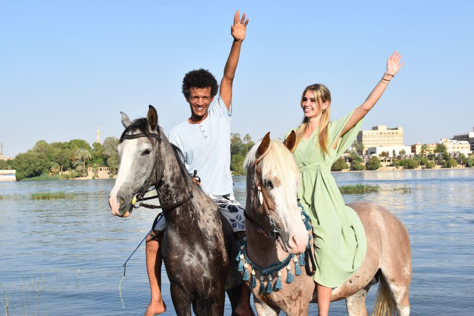 1 half day to discover luxor on horseback Half-Day to Discover Luxor on Horseback