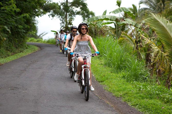 Half-Day Ubud Rice Field and Village Cycling Tour
