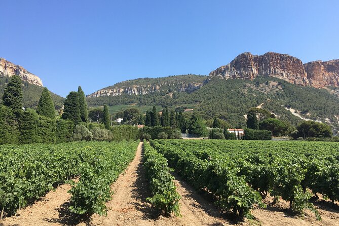 1 half day wine tour in bandol cassis from aix en provence Half Day Wine Tour in Bandol & Cassis From Aix En Provence