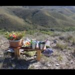1 hankey pabala nature reserve game drive picnic with wine Hankey: Pabala Nature Reserve Game Drive & Picnic With Wine