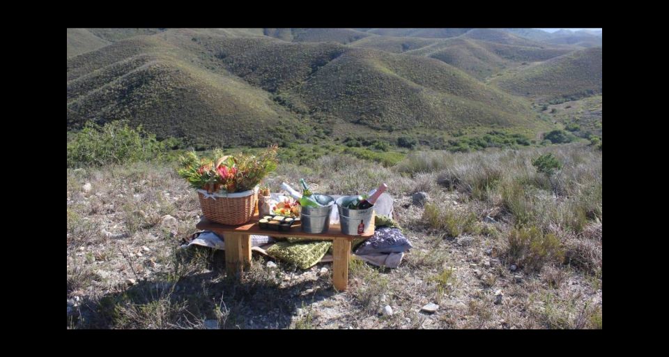 1 hankey pabala nature reserve game drive picnic with wine Hankey: Pabala Nature Reserve Game Drive & Picnic With Wine