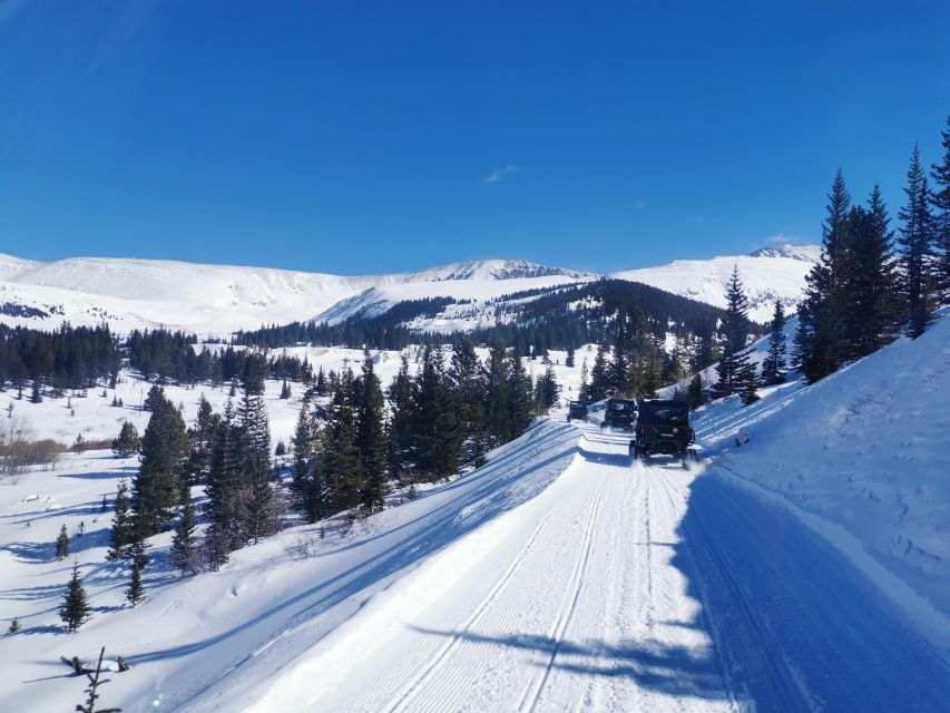 Hatcher Pass: Heated & Enclosed ATV Tours – Open All Year!