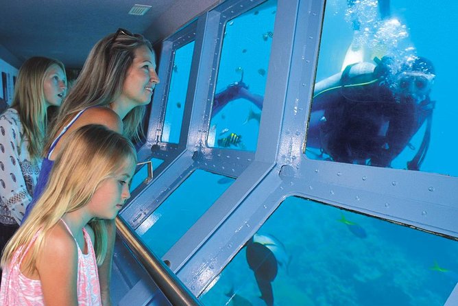 Helicopter & Cruise Great Barrier Reef Package From Port Douglas
