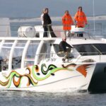 1 hermanus boat based whale watching experience Hermanus: Boat Based Whale Watching Experience
