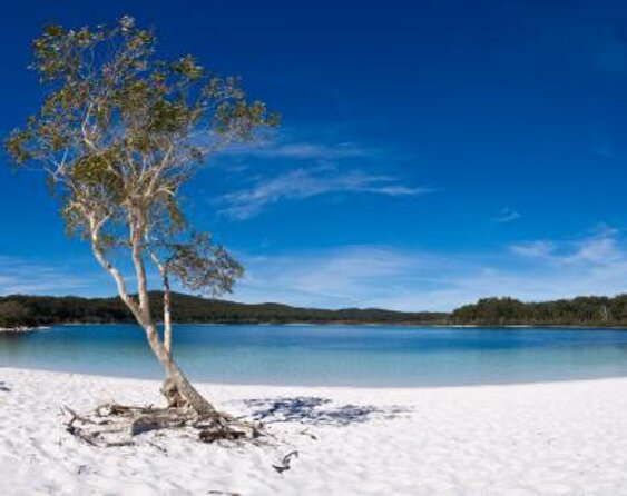 Hervey Bay to Fraser Island 4WD Tour With Lake Mckenzie Swim (Mar )