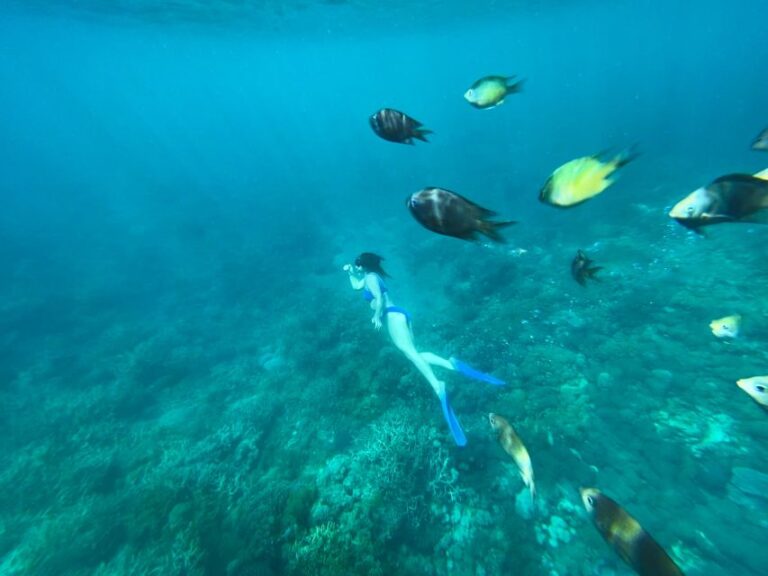 Hidden Gilis Lombok Snorkeling Daily Tour