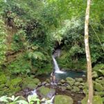 1 hidden waterfalls untouched nature 1 d all inclusive Hidden Waterfalls & Untouched Nature: 1-D All Inclusive