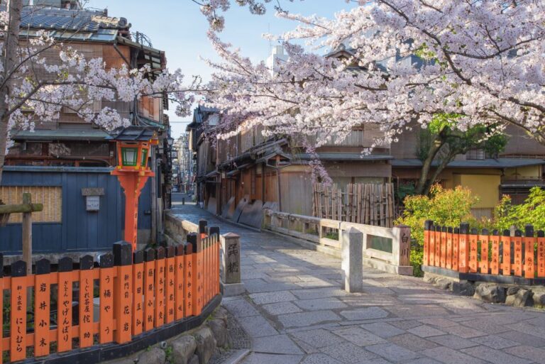 Higashiyama Kyoto: Sakura Season Private Rickshaw Tour