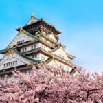 1 highlights hidden gems of osaka private tour Highlights & Hidden Gems of Osaka Private Tour