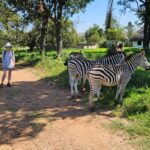 1 hike in a wildlife reserve with wild animals no predators Hike in a Wildlife Reserve With Wild Animals (No Predators)
