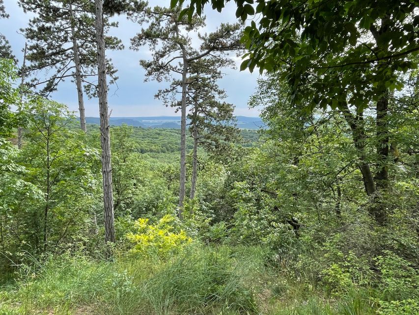 1 hike nature picturesque view over budapest Hike, Nature & Picturesque View Over Budapest