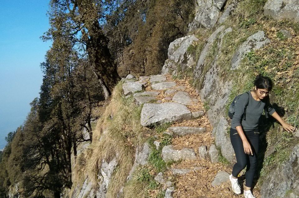 Hiking Day Tour to Triund From Dharamshala - Key Points