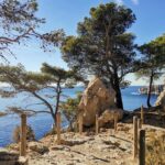 1 hiking in the calanques national park from luminy Hiking in the Calanques National Park From Luminy