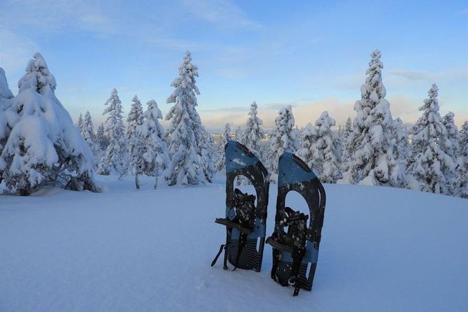 Hiking on Snowshoes