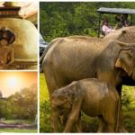 1 hill country wonders cultural hotspots in sri lanka Hill Country Wonders & Cultural Hotspots in Sri Lanka
