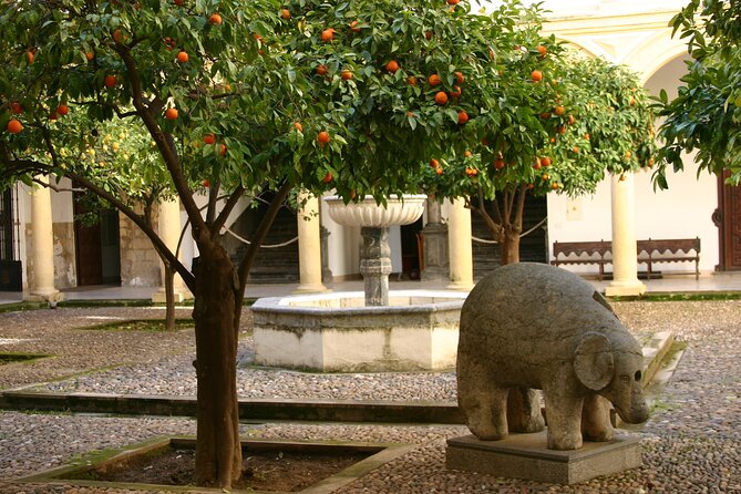 1 historical cordoba guided walking tour Historical Cordoba Guided Walking Tour