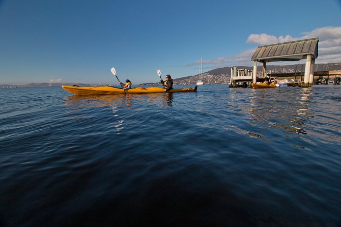 Hobart Kayak Tour