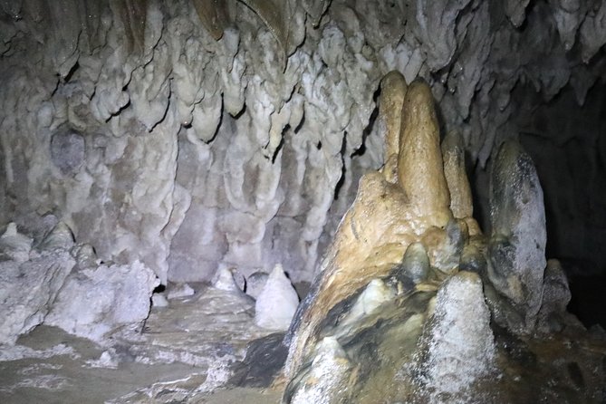 1 hobbiton and spellbound tour glowworm cave at waitomo Hobbiton and Spellbound Tour (Glowworm Cave at Waitomo)