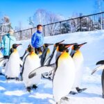 1 hokkaido asahiyama zoo furano beiei blue pond 1 day tour Hokkaido: Asahiyama Zoo, Furano, Beiei Blue Pond 1-Day Tour