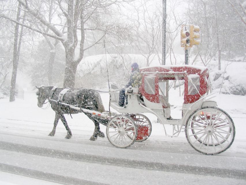 1 horse and carriage rides central park Horse and Carriage Rides Central Park