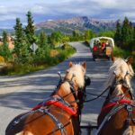 1 horse drawn covered wagon ride with backcountry dining Horse-Drawn Covered Wagon Ride With Backcountry Dining