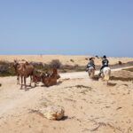 1 horse ride on the beach in essaouira Horse Ride on the Beach in Essaouira