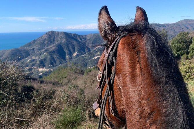 1 horse ride on the coast of monterosso al mare cinque terre Horse Ride on the Coast of Monterosso Al Mare Cinque Terre