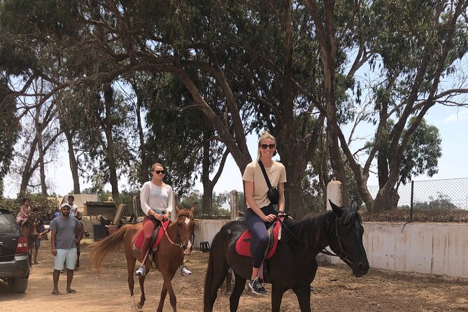 Horse Riding Agadir