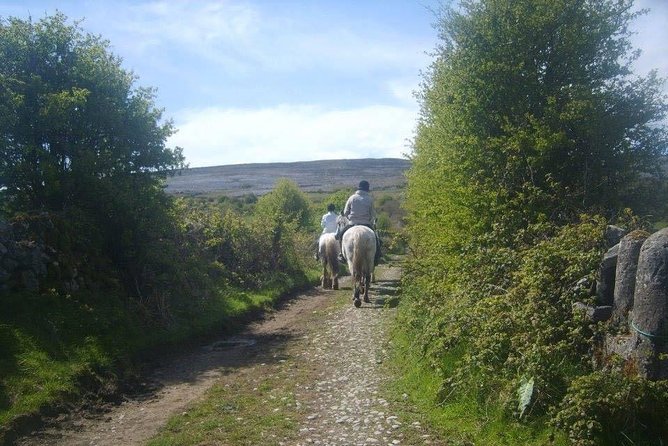 Horse Riding – Burren Trail. Lisdoonvarna, Co Clare. Guided. 3 Hours.