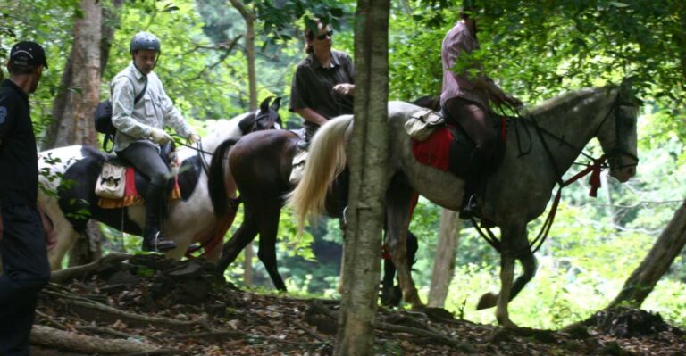 Horse Riding in Nuwara Eliya