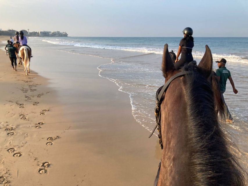 Horse Riding in Port City - Key Points