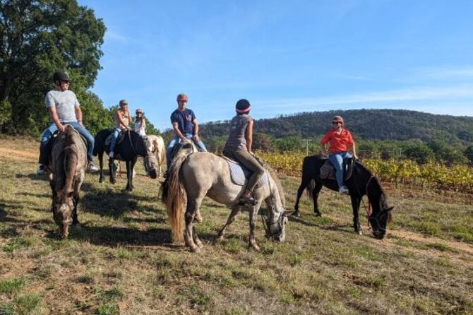 Horse Riding in the Vineyards of Grimaud Wine Tasting