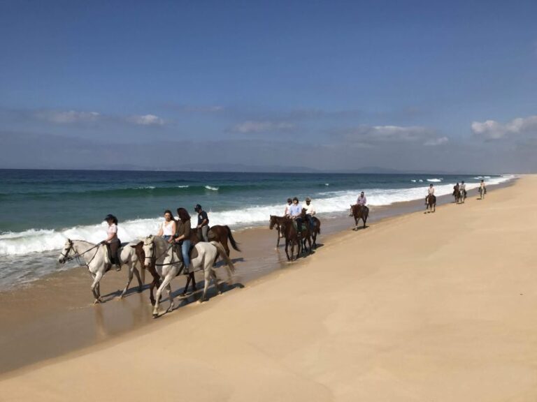 Horse Riding on the Beach With Private Transfer From Lisbon