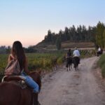 1 horseback private wine tour and country grill from santiago Horseback Private Wine Tour and Country Grill From Santiago