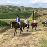 1 horseback ride in s gimignano with tuscan lunch chianti tasting Horseback Ride in S.Gimignano With Tuscan Lunch Chianti Tasting