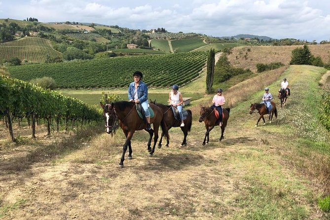 1 horseback ride in s gimignano with tuscan lunch chianti tasting Horseback Ride in S.Gimignano With Tuscan Lunch Chianti Tasting
