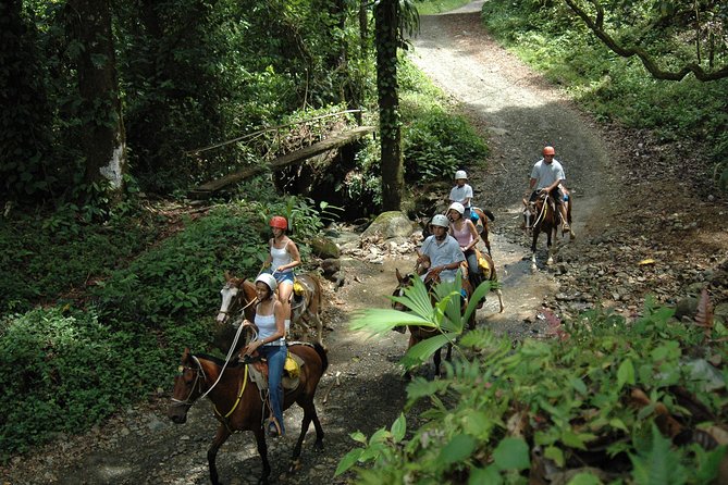 Horseback Riding Through the Jungle