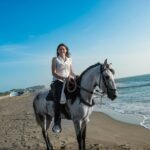 1 horseback riding tour in beach of cartagena Horseback Riding Tour in Beach of Cartagena