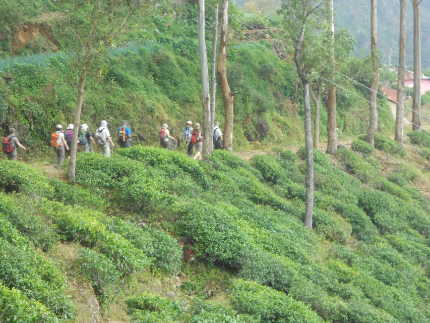 1 horton plains pekoe trail stage 11 hiking trip to udaweriya Horton Plains: Pekoe Trail Stage 11 Hiking Trip to Udaweriya