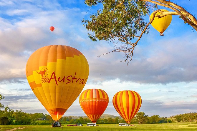 1 hot air balloon flight brisbane with vineyard breakfast Hot Air Balloon Flight Brisbane With Vineyard Breakfast