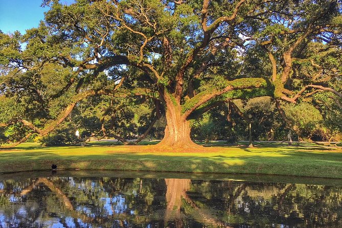 Houmas House Plantation Guided Tour