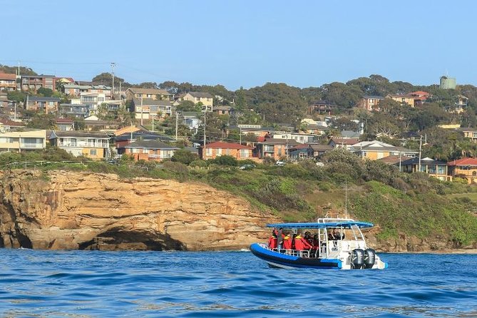 Hunter Coastal Adventure Tour by Boat From Newcastle