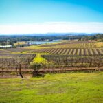 1 hunter valley private tour Hunter Valley Private Tour