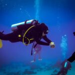 1 hurghada 1 or 2 day diving package with soft all inclusive Hurghada: 1 or 2-Day Diving Package With Soft All-Inclusive