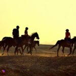 1 hurghada 4 days tour horse camel spa atv jeep dolphin Hurghada: 4 Days Tour Horse, Camel, Spa, ATV, Jeep & Dolphin
