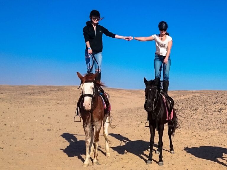 Hurghada: Arabian Desert and Sea Horseback Adventure