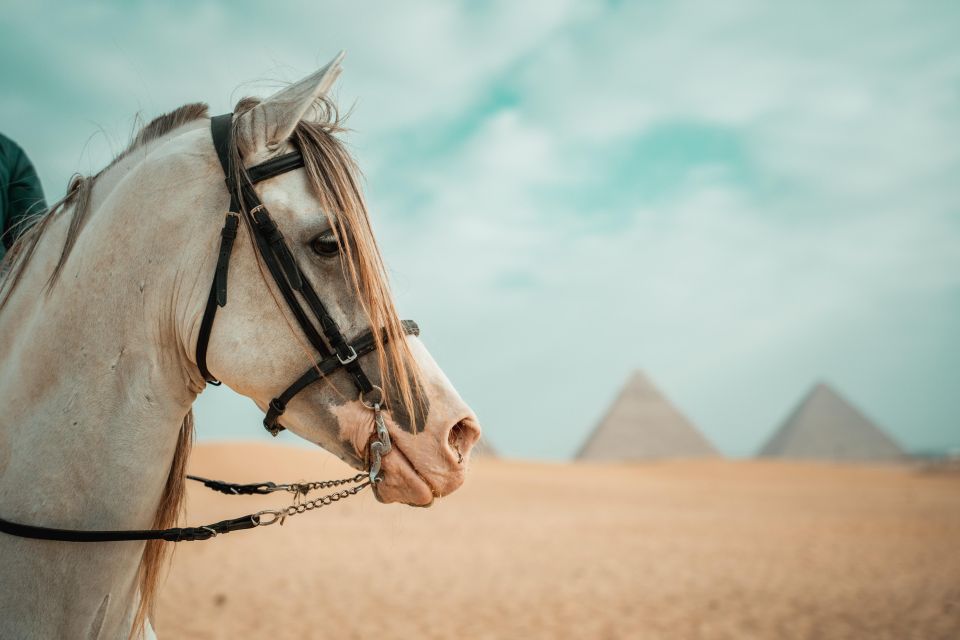 1 hurghada cairo day trip with horse ride along giza pyramids Hurghada: Cairo Day Trip With Horse Ride Along Giza Pyramids