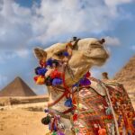 1 hurghada cairo giza pyramids museum nile boat trip Hurghada: Cairo & Giza Pyramids, Museum & Nile Boat Trip